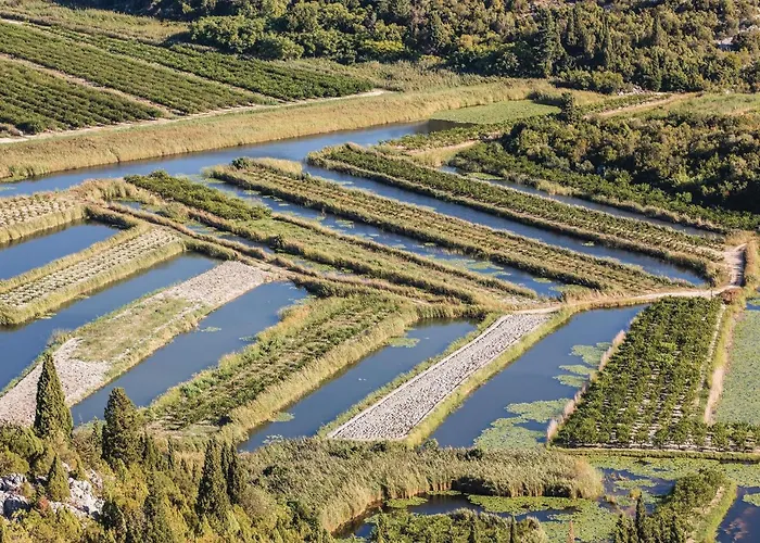 One-bedroom In Holiday home